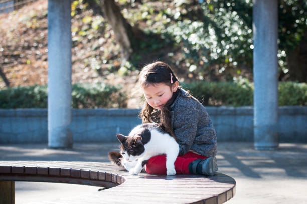 犬学校のトレーナー